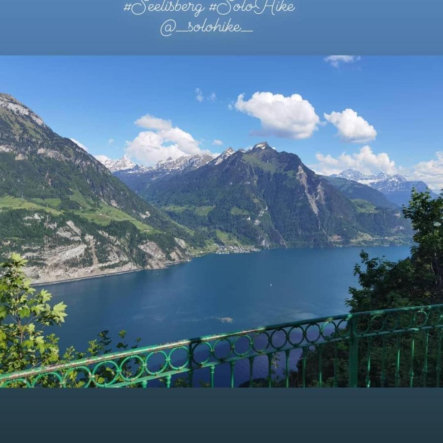 Schoene Ferienwohnung In Traumlage Fewo Solohike Seelisberg Exterior photo