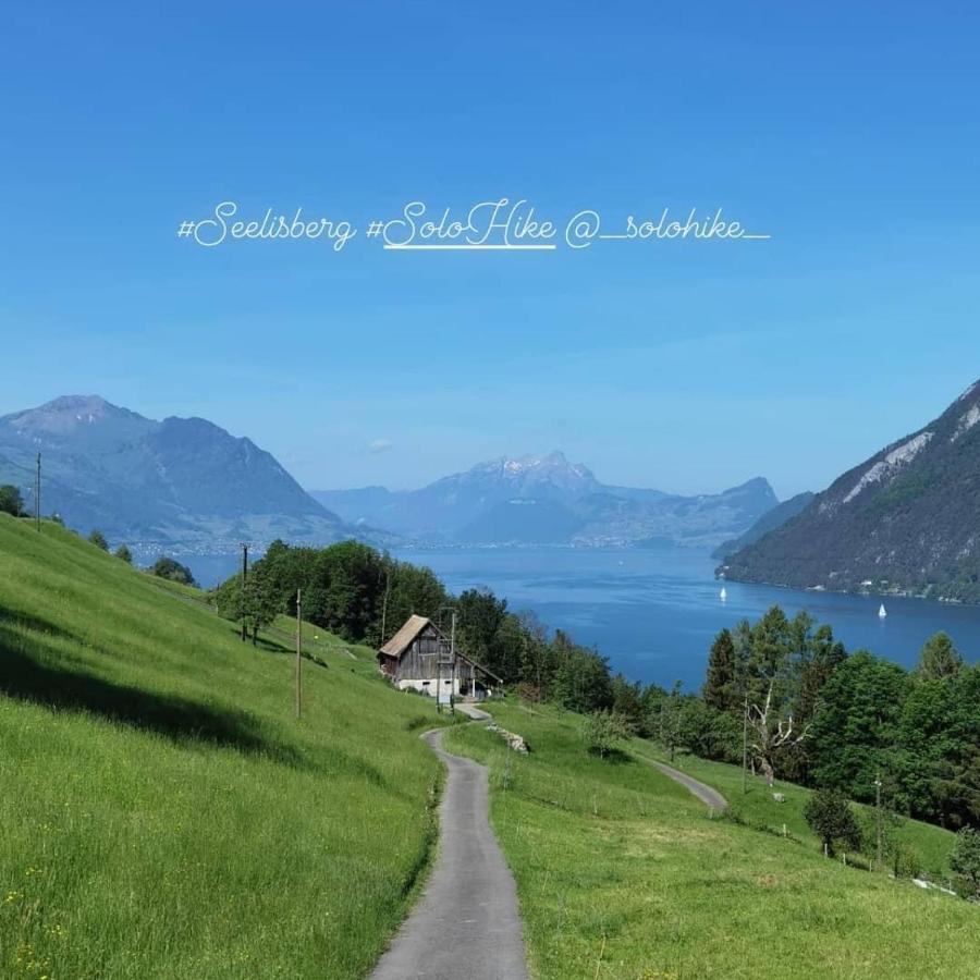 Schoene Ferienwohnung In Traumlage Fewo Solohike Seelisberg Exterior photo